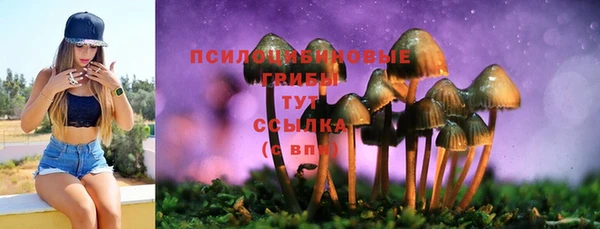 трава Абдулино