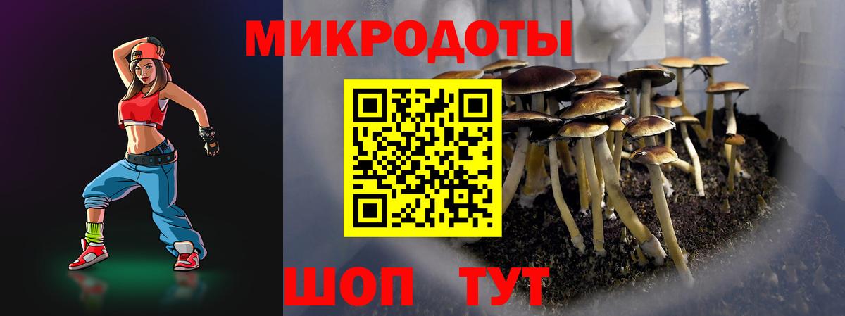 Альметьевск  где найти   Вход с VPN  Псилоцибиновые грибы MAGIC MUSHROOMS 